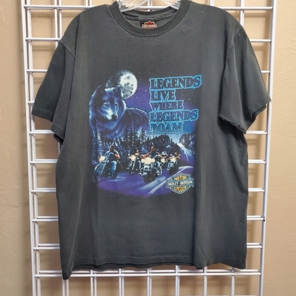 90s vintage Harley Davidson Legends live where legends roam Holoubek t-shirt‎